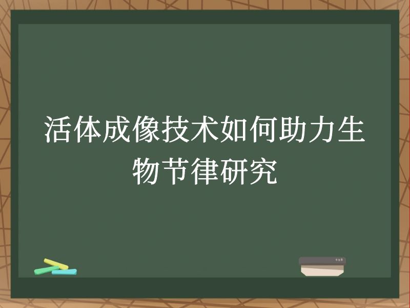 活体成像技术如何助力生物节律研究